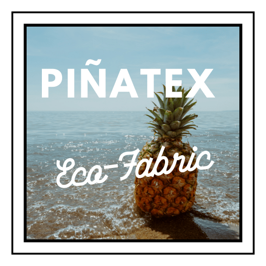Piñatex Eco Fabric